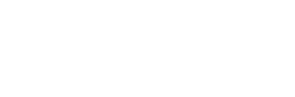 footer logo ainon